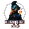 Duck Rice Esport